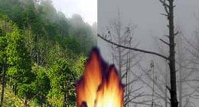 Incendios forestales: Acatenango ha cambiado
