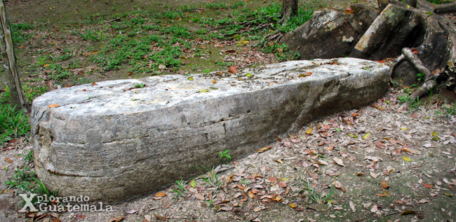Estela depredada en Tikal