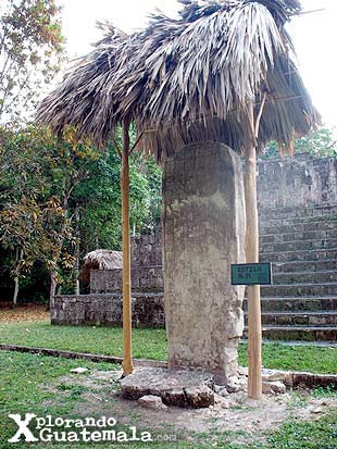 Ceibal y sus estelas mayas
