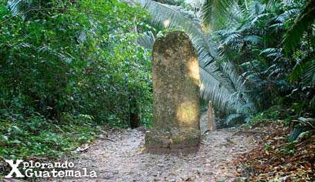 Ceibal y sus estelas mayas / foto 10