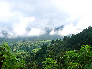 Paisaje nuboso del valle. Fotografía por Mario Santos.