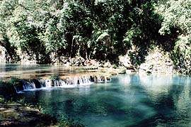 Semuc Champey, el río que se esconde entre la roca. Foto cortesía de www.fotosdeguatemala.com
