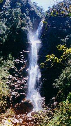 Chilascó es la cascada más alta de América Central.