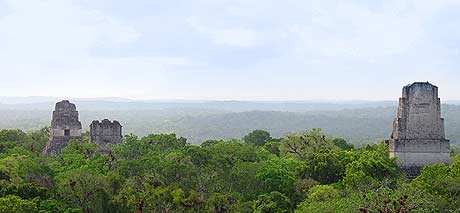 Clásica imagen de Tikal entre la selva, vista desde el Templo IV.