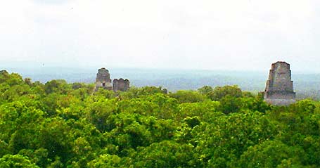 Incomparable vista de la majestuosa Tikal, desde el Templo IV
