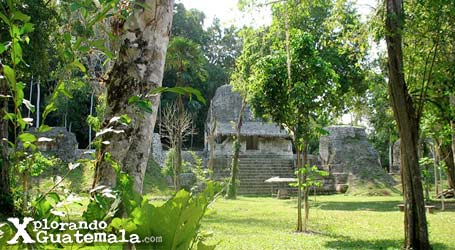 Viaje relámpago a Tikal-foto-53--9-1-2014